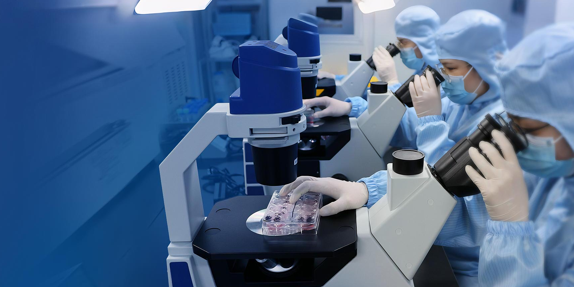 做细胞质量检验的守护者