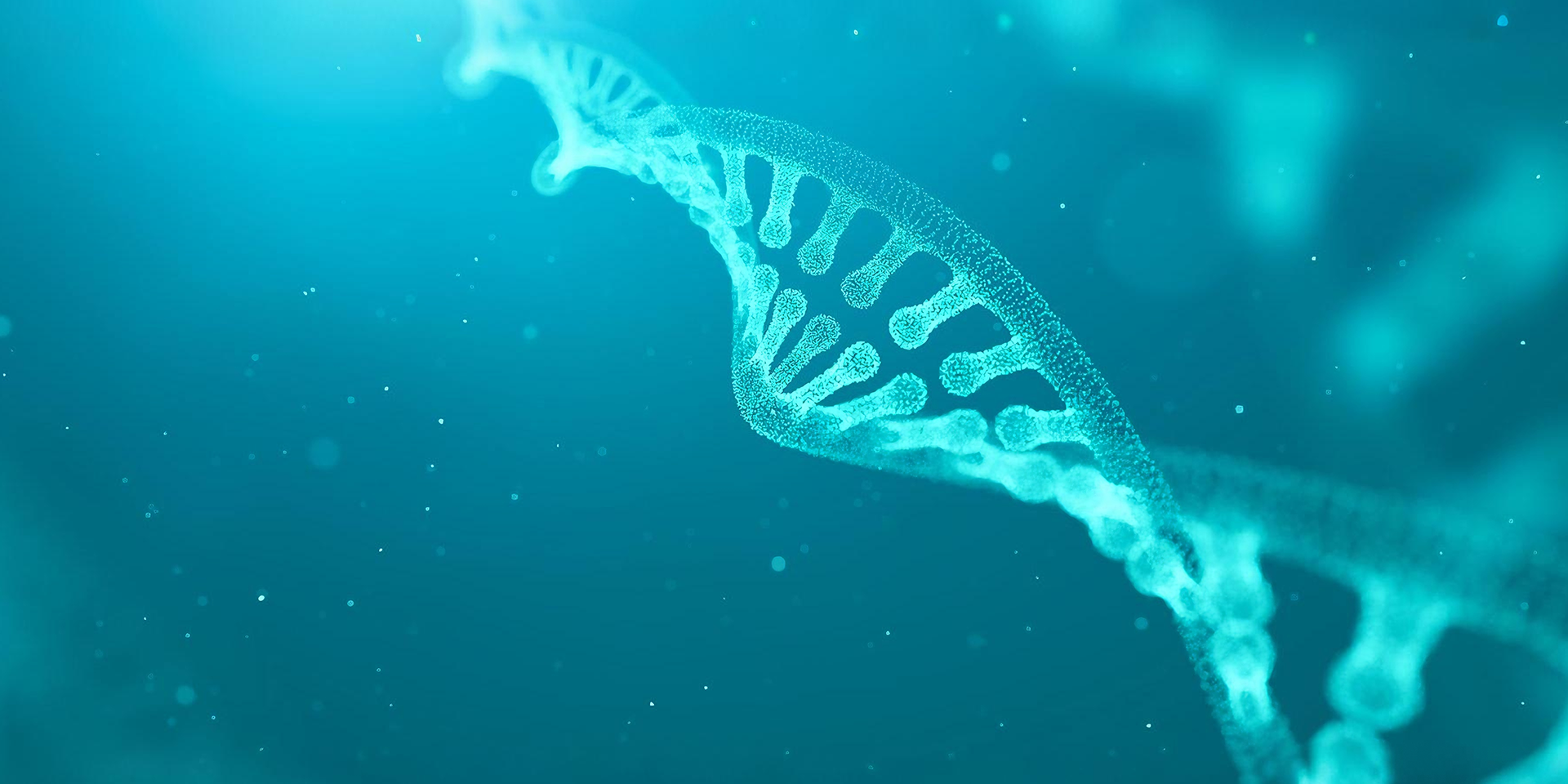 提供一站式技术服务